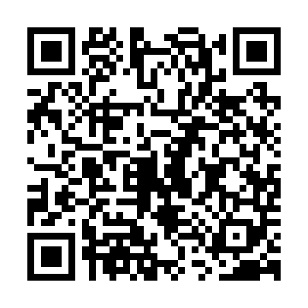 QR code for GT12493