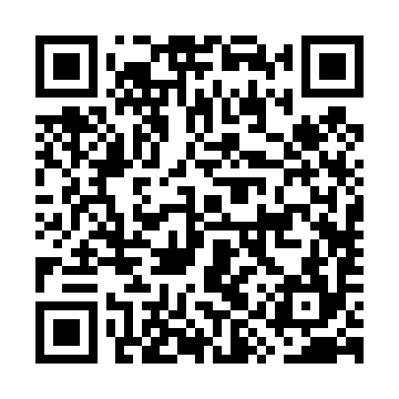 QR code for GYR494