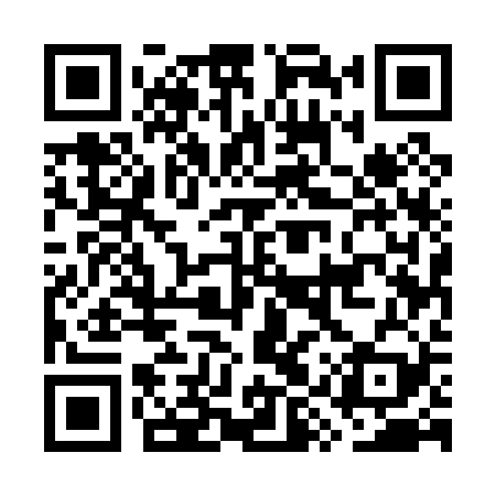 QR code for GYU029