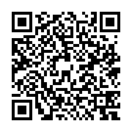 QR code for GZ13384