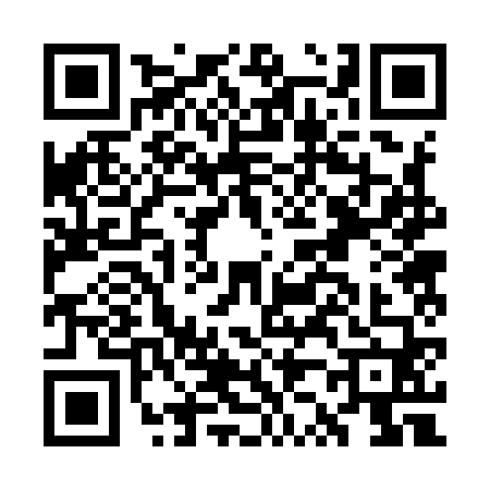 QR code for GZ29600