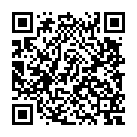 QR code for GZL413