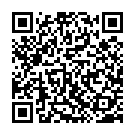 QR code for GZT509