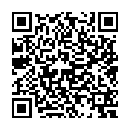 QR code for H005207