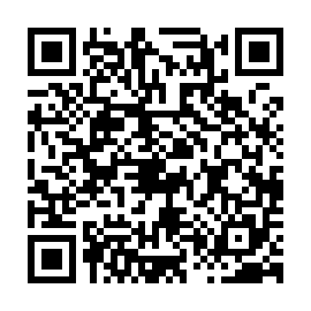 QR code for H009550
