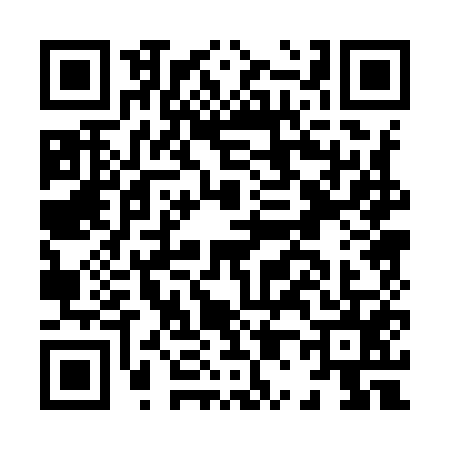 QR code for H009554