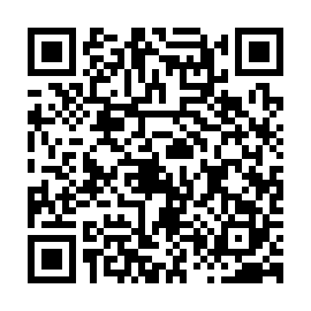 QR code for H013220
