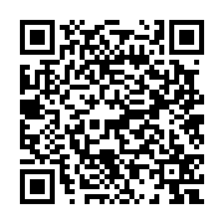 QR code for H020377