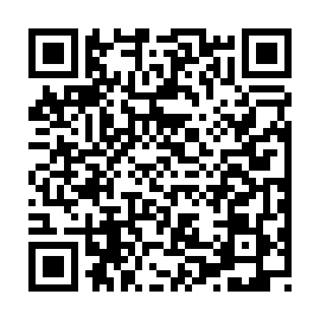 QR code for H020495