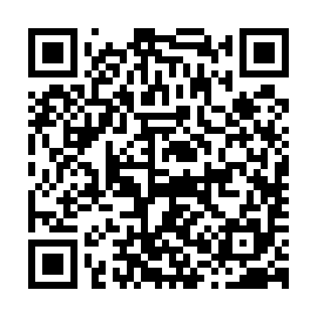 QR code for H02595