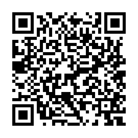 QR code for H029017
