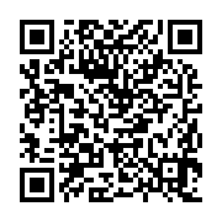 QR code for H02995