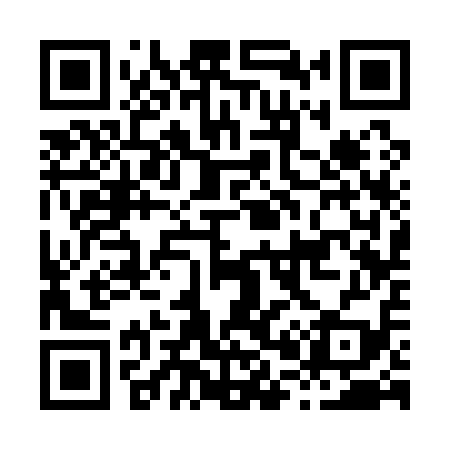 QR code for H03119