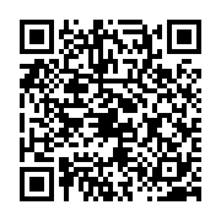 QR code for H038308