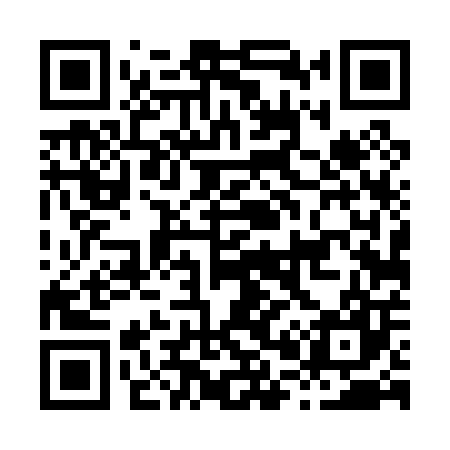 QR code for H04007