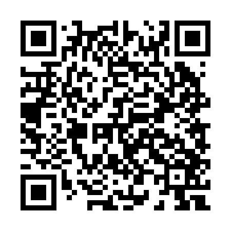 QR code for H04246