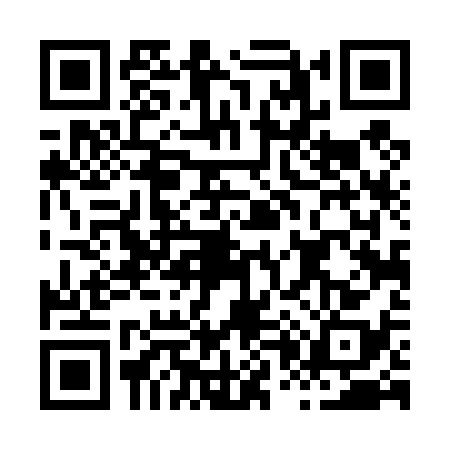 QR code for H044387