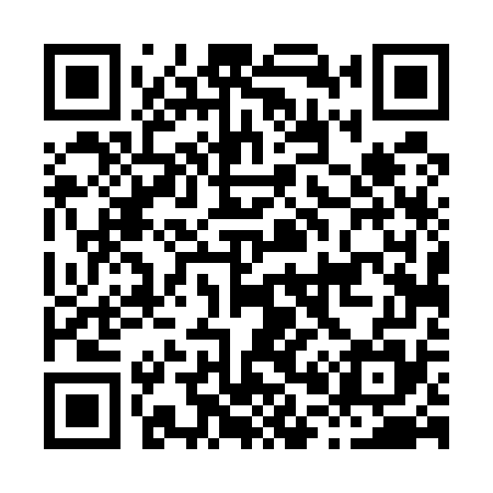 QR code for H04575