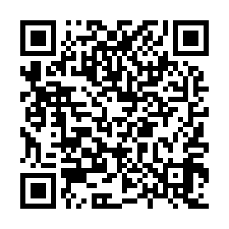 QR code for H04919