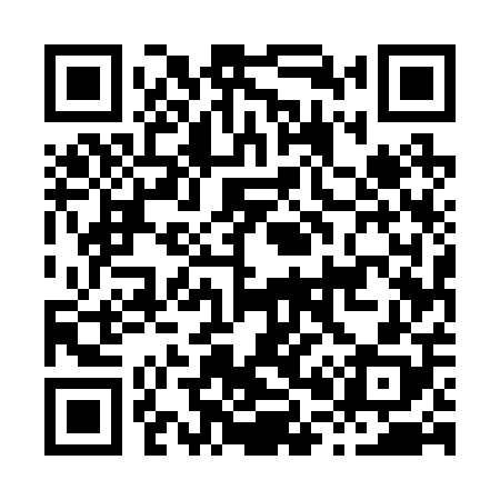 QR code for H05208