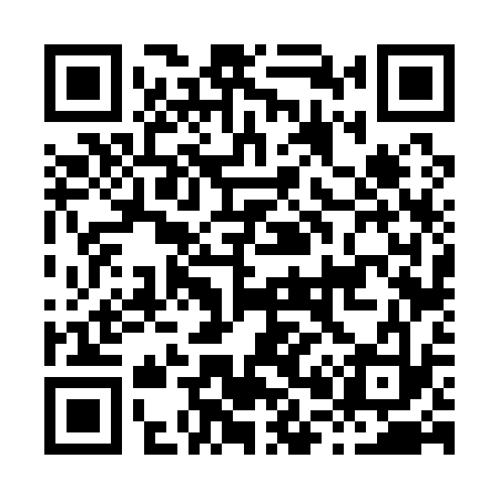 QR code for H06133