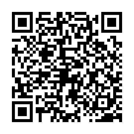 QR code for H063916