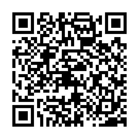 QR code for H067334