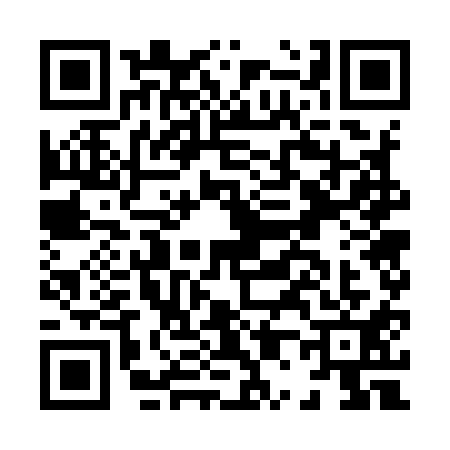 QR code for H079118