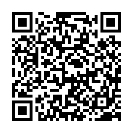 QR code for H08217