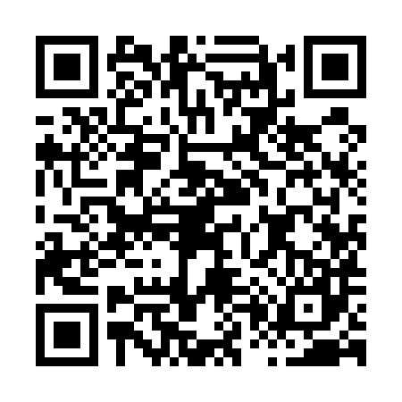 QR code for H095873