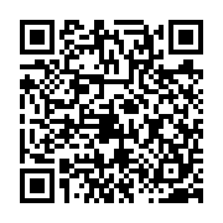 QR code for H096541