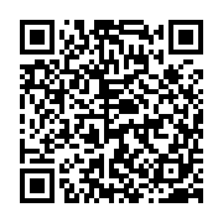 QR code for H09950
