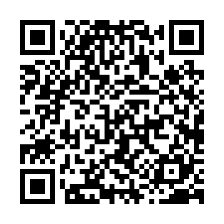 QR code for H10225