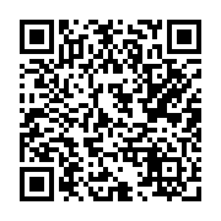 QR code for H11101