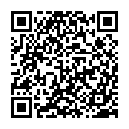 QR code for H11177
