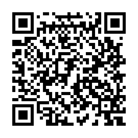 QR code for H11196