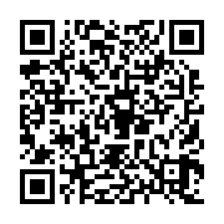 QR code for H11209