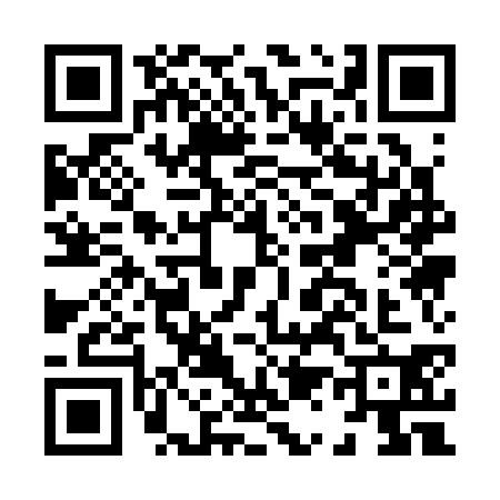 QR code for H113306