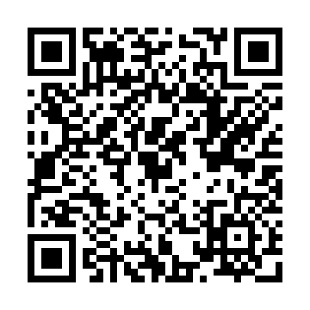 QR code for H113363