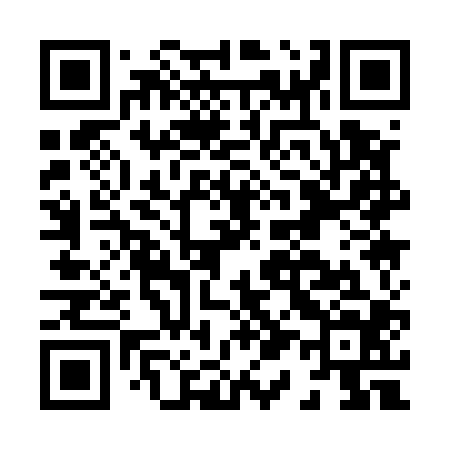 QR code for H11504