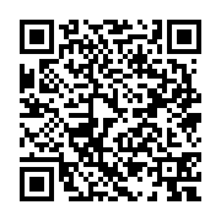 QR code for H116301