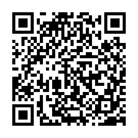 QR code for H13272