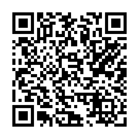 QR code for H13291