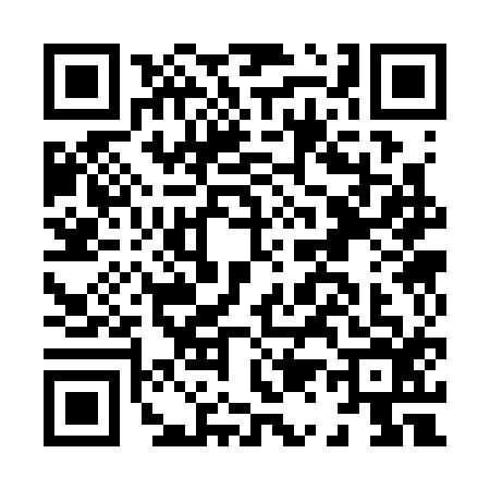 QR code for H133161