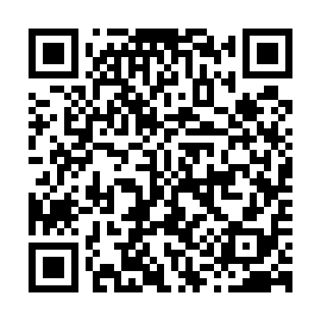 QR code for H13518