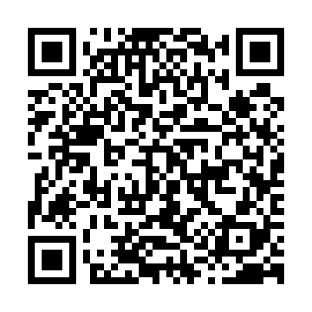 QR code for H13528