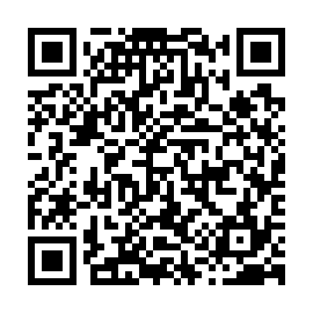 QR code for H13734