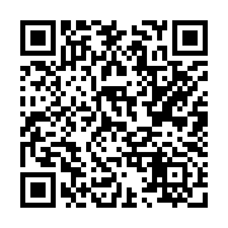 QR code for H13993