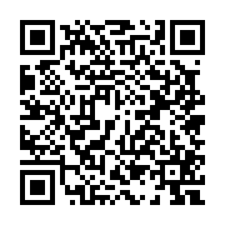 QR code for H150056