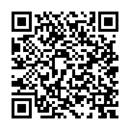 QR code for H151029
